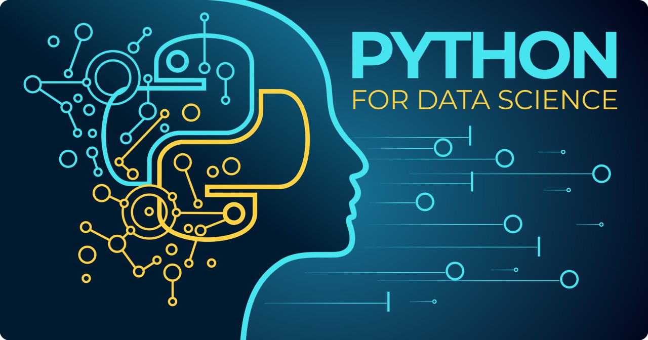 Python for Data Science – Ultimate Guide for Beginners 2025